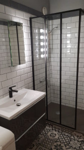 Photo de galerie -  lavabo plus paroi de douche 