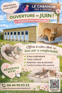 Photo de galerie - Pension féline 