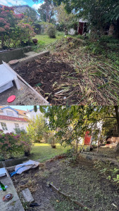 Photo de galerie - Avant / Après