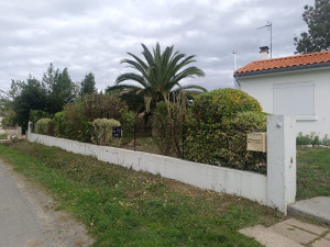 Photo de galerie - Taille de haies et d'arbustes