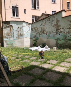 Photo de galerie - Bricolage et multi services