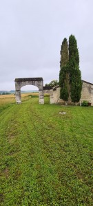 Photo de galerie - Tonte et debroussaillage 