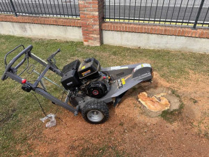 Photo de galerie - Tonte de pelouse - Débroussaillage