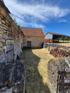 Photo de galerie - Tonte de pelouse - Débroussaillage