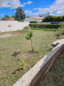 Photo de galerie - Entretien de jardin.