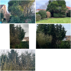 Photo de galerie - Paysagiste - Aménagement du jardin