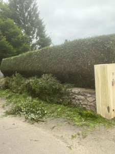 Photo de galerie - Taille 