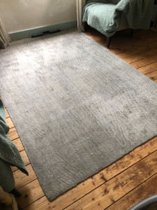 Photo de galerie - Désinfecter tapis 