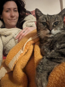 Photo de galerie - Garde animaux