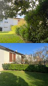 Photo de galerie - Taille de haies et d'arbustes