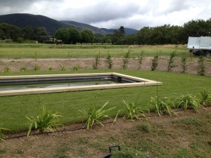 Photo de galerie - création jardin arrosage automatique