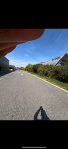 Photo de galerie - Avant rabattage 