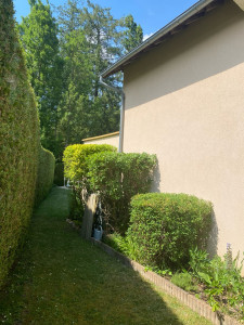 Photo de galerie - Taille 