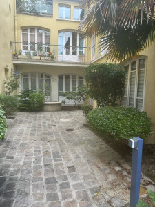 Photo de galerie - Taille de haies et d'arbustes