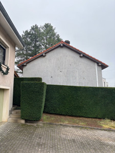 Photo de galerie - Taille d’une haie de taxus 