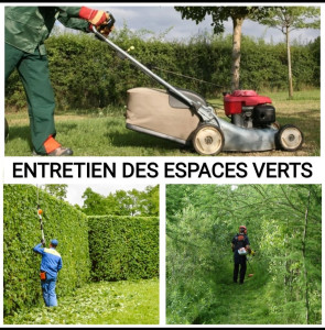 Photo de galerie - Entretien espaces verts 