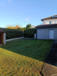 Photo de galerie - Après taille de haies et tondeuse 