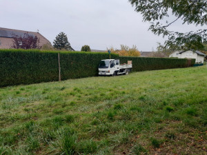Photo de galerie - Taille haie de 200m