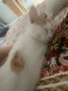 Photo de galerie - Bichette