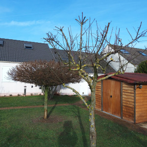 Photo de galerie - Ttaille