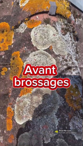 Photo de galerie - Couverture - Toiture