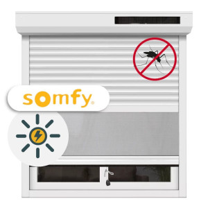 Photo de galerie - Quali Somfy Solaire Moustiquaire