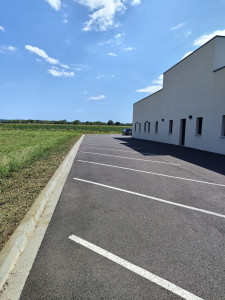 Photo de galerie - Après tonte et débroussaillage