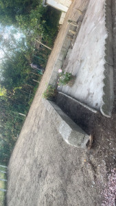 Photo de galerie - Nettoyage terrain 