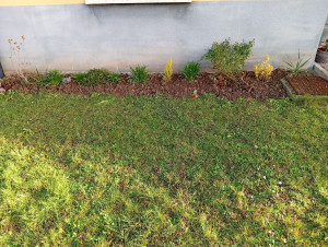 Photo de galerie - Plantation de végétaux 