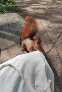 Photo de galerie - Je suis patiente et calme 