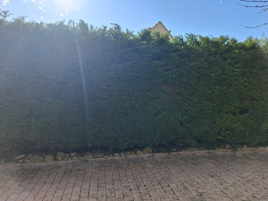 Photo de galerie - Rabattage