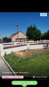 Photo de galerie - Elagage et coupe d'arbres