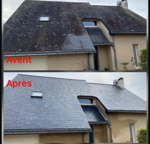 Photo de galerie - Nettoyage toiture
