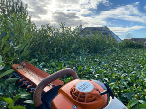 Photo de galerie - Jardinier