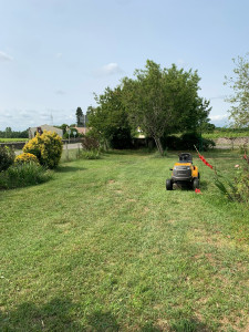 Photo de galerie - Tonte d’une pelouse 