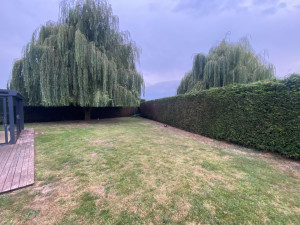 Photo de galerie - Taillage de haie 