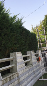 Photo de galerie - Taille de haies et d'arbustes