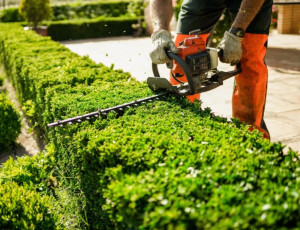 Photo de galerie - Je suis quelqu’un qui adore son métier et j’adore travailler pour des gens qu’ils ne peuvent pas, j’adore les idées