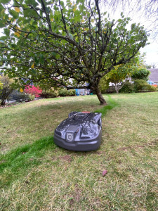 Photo de galerie - Jardinier