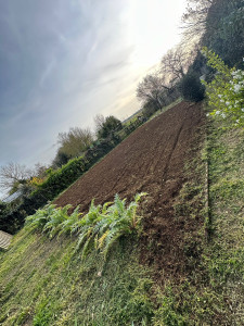 Photo de galerie - Jardinier