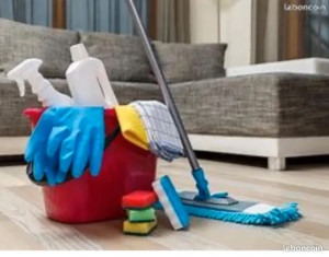 Photo de galerie - Ménage à domicile 