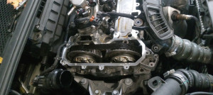 Photo de galerie - Distribution pur-tech 1,2
