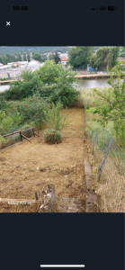 Photo de galerie - Tonte 