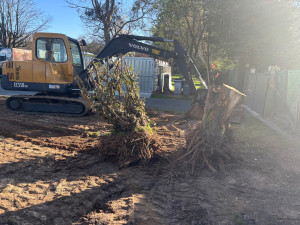 Photo de galerie - Arrachage de souches