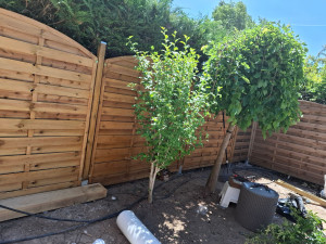 Photo de galerie - Paysagiste - Aménagement du jardin