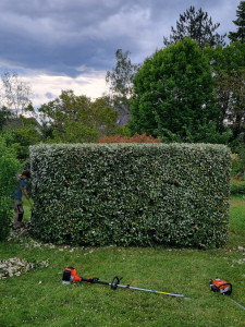 Photo de galerie - Taille