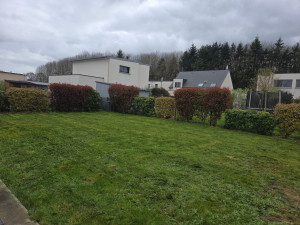 Photo de galerie - Voici une tonte de 200m2 avec ramassage 