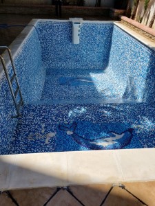 Photo de galerie - Entretien piscine
