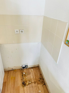 Photo de galerie - Netoyage approfondi 