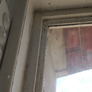 Photo de galerie - Présence importante de moisissures, traces noires et salissures incrustées sur l’encadrement et les contours de la fenêtre.